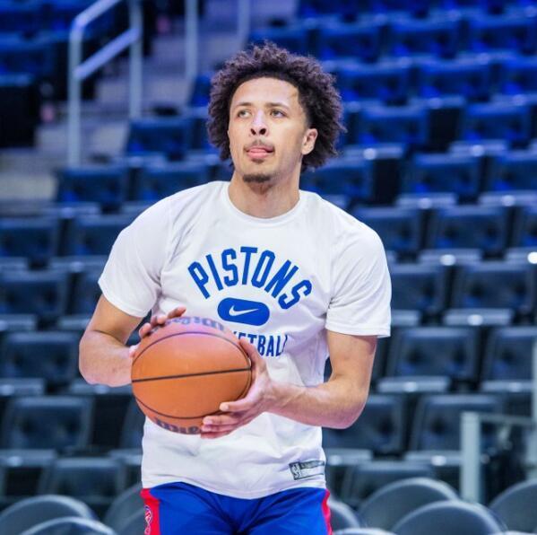 己的技术 己的技术