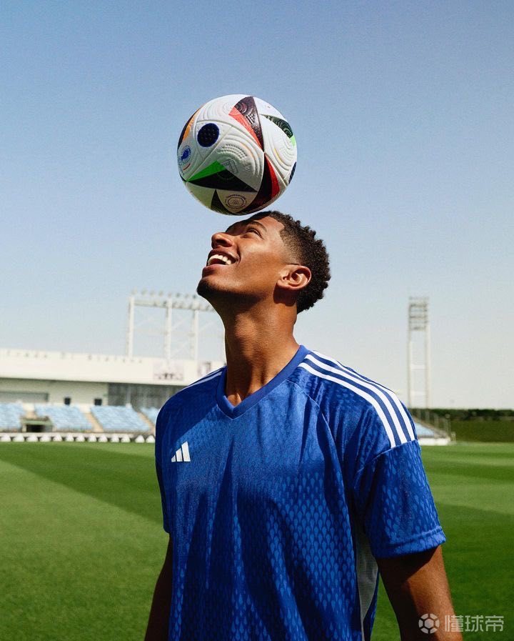 分会显著提 分会显著提