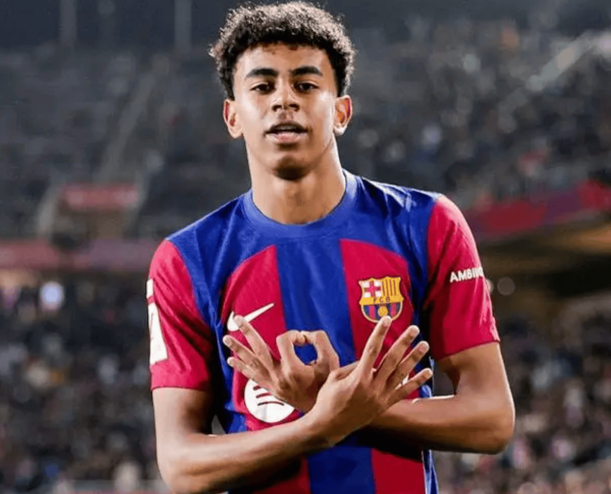 的稳健运营 的稳健运营